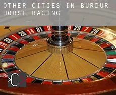 Other cities in Burdur  horse racing