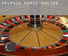Palpalá horse racing