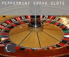 Peppermint Grove  slots