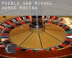 Puebla de San Miguel  horse racing