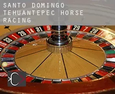 Santo Domingo Tehuantepec  horse racing