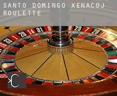 Santo Domingo Xenacoj roulette
