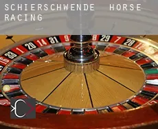 Schierschwende horse racing