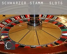 Schwarzer Stamm  slots