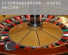 Siegmannsbrunn horse racing