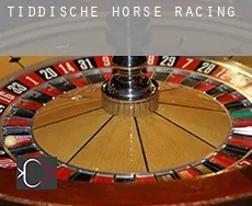 Tiddische  horse racing