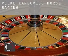 Velké Karlovice  horse racing