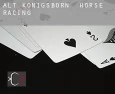 Alt Königsborn  horse racing