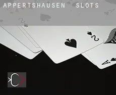 Appertshausen slots