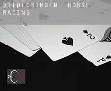 Bildechingen  horse racing