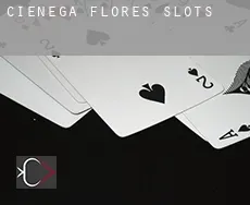 Ciénega de Flores  slots