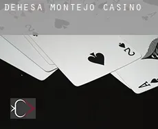 Dehesa de Montejo  casino