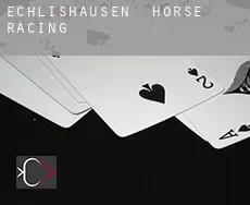 Echlishausen horse racing