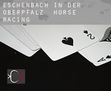 Eschenbach in der Oberpfalz horse racing