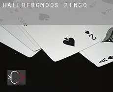 Hallbergmoos  bingo