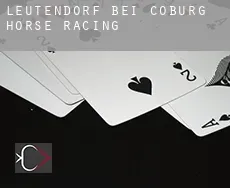 Leutendorf bei Coburg  horse racing