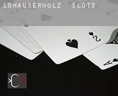 Lohauserholz  slots
