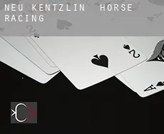 Neu Kentzlin horse racing