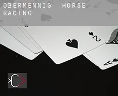 Obermennig horse racing