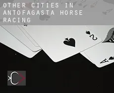 Other cities in Antofagasta  horse racing