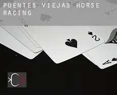 Puentes Viejas  horse racing