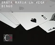 Santa María de la Vega bingo