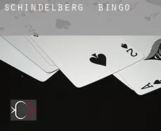 Schindelberg bingo
