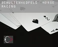 Schultenhedfeld horse racing