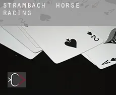 Strambach horse racing