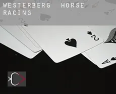 Westerberg  horse racing
