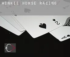 Winkie horse racing