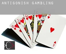 Antigonish  gambling