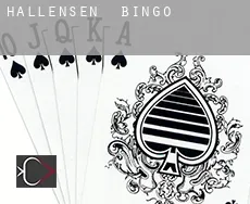 Hallensen bingo