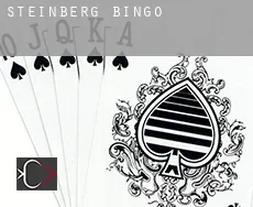 Steinberg  bingo