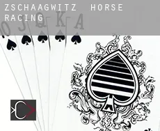 Zschaagwitz horse racing