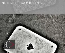 Mudgee  gambling