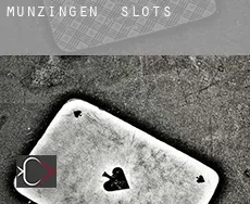 Münzingen  slots