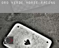 Oro Verde  horse racing