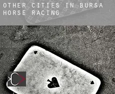 Other cities in Bursa  horse racing