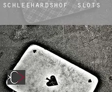 Schleehardshof  slots