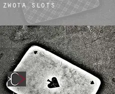 Zwota slots
