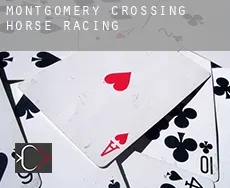 Montgomery Crossing  horse racing