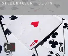 Siebenhasen  slots