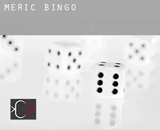 Meriç  bingo