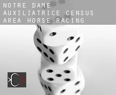 Notre-Dame-Auxiliatrice (census area)  horse racing