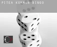 Piteå Kommun bingo