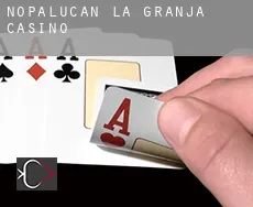 Nopalucan de la Granja  casino