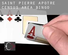 Saint-Pierre-Apôtre (census area)  bingo