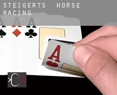 Steigerts horse racing