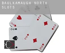 Baulkamaugh North  slots